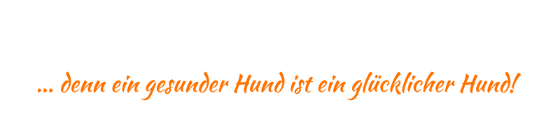 hundemineral.de